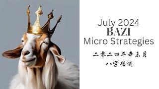 July 2024 Bazi Micro Strategies  二零二四年辛未月八字预测