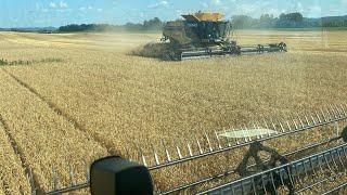 Harvesting Wheat With 2 Claas Lexion Combines