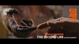 THE SECOND LIFE - Trailer