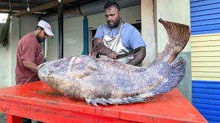 Giant Fish Cutting Like Never Before – Rustic Village Seafood Market Experience