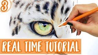 REAL TIME Colored Pencil Tutorial | How To Draw a LEOPARD EYE | Part 3