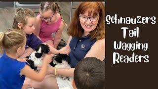 Cute & Cuddly Schnauzer Puppies at Tail Wagging Readers