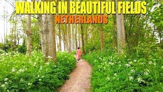 WALKING IN THE BEAUTIFUL FIELDS OF VELSERBROEK, NETHERLANDS