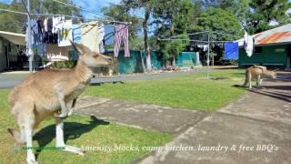 Take a look at our paradise that is Cape Hillsborough Nature Tourist Park