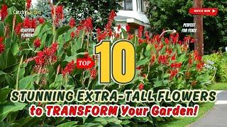 TOP 10 STUNNING EXTRA-TALL FLOWERS to TRANSFORM Your Garden!   // Grdening Ideas