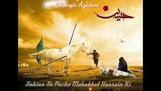 Imam Hussain (as) best WhatsApp status || ALAMDAR T.V OFFICIAL ||