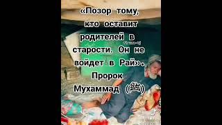 позор тому кто оставит родителей в старости