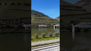 Douro Valley: A Scenic Journey #douro