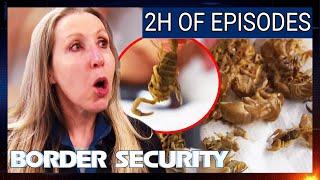 6 Episode Border Security Marathon | Australia Season 10 | Full Episodes Compilation