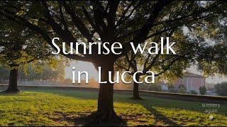 Sunrise walk in Lucca, Tuscany in Italy - City waking up, Wall Walk, Early morning sounds, ASMR