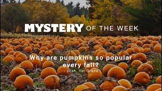 Why are pumpkins so popular every fall?