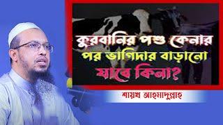 কুরবানির পশু কেনার পর ভাগিদার বাড়ানো যাবে কিনা?_শায়খ আহমাদুল্লাহ.mp4 - কুরআনের কথা QK