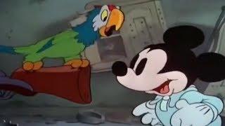 Mickey Mouse Clubhouse Mickey's PARROT - Disney's Classic CARTOON