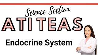 ATI TEAS Science Course | Endocrine System