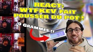 JE RÉAGIS à WTFKeV qui "Fait POUSSER du POT pour la PREMIÈRE FOIS!"