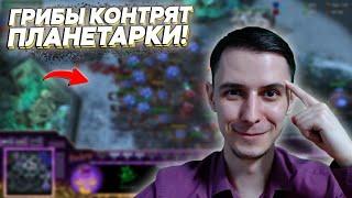 ГРИБЫ КОНТРЯТ ПЛАНЕТАРКИ Битва СтарКоманов Starcraft 2