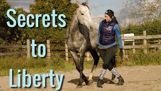 3 Secrets to Harmony at Liberty without using chasing, whips or a round pen workshop
