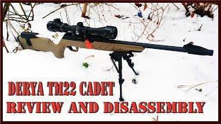 DERYA TM22 CADET REVIEW & DISASSEMBLY #historysmith #22lr #firearms #review