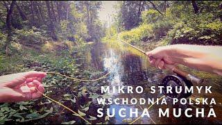 Wild micro stream. Dry fly - caddisfly #fishing #trout #nature #flyfishing