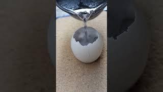 Creating a Unique Metal Wall Art with Recycled Materials #shorts #viralvideo #restoration #art