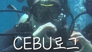 졍쓰바리 IN CEBU | 스쿠버다이빙 자격증 따러 세부 브이로그 (오픈워터+어드밴스)