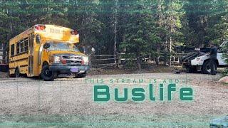 Buslife - First timers get stuck! | Camp Hosting Reality