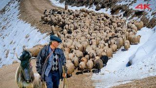 The Migration of the Man in the Desolate Mountains | Documentary