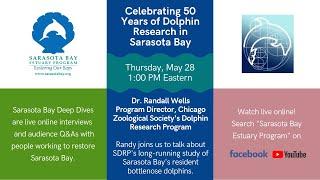 Celebrating 50 Years of Dolphin Research in Sarasota Bay