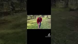 Массаж, точки от всех болезней!