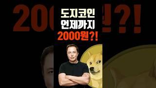 도지코인 목표가 2000원은 언제까지?!