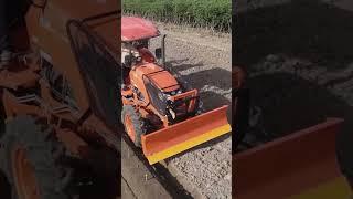 Kubota Cassava Planter CP200F #shorts #agrimachinery