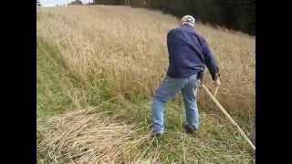 Scythe Supply Wheat Harvest