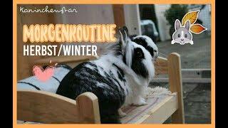 MORGENROUTINE bei den Kaninchen Herbst/Winter  | Kaninchenstar