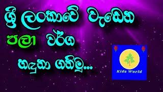 අපේ රටේ වැඩෙන පලා වර්ග....Sinhala 2021 Kids WORLD