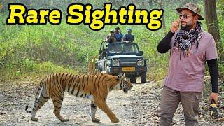 Tracking Tiger in Jim Corbett Jungle Safari Dhela Zone | Best Zone for Tiger Sighting in Jim Corbett