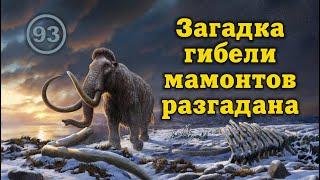 Мамонтов убила не космическая катастрофа, не смена полюсов и не первобытные люди… Фильм 93