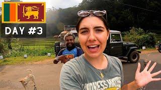 Sri Lankan Adventure Gone Wrong: Stalls, Rescues, and Dambulla Cave Temple! ️ 