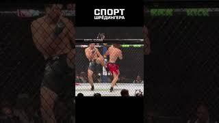 Шара Буллет нокаутировал Армена Петросяна с бэкфиста на UFC 308 | Спорт Шрёдингера #ufc