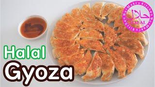 #36 Halal Gyoza (Japanese Chicken Dumpling) ハラル餃子 / Nur Maki's Kitchen