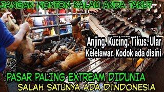 VIRAL DI DUNIA INTERNASIONAL !!! KUCING,ANJING DIJUAL BEBAS DISINI (PASAR DAGING TER-EXTREME )