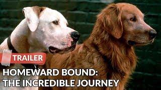 Homeward Bound: The Incredible Journey 1993 Trailer HD | Michael J. Fox