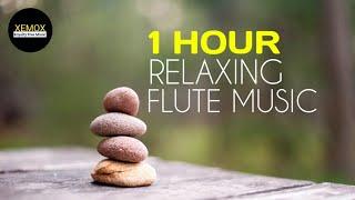 1 Hour Relaxing Flute Music | Royalty Free | Buddha's Flute