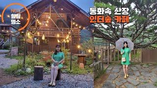 (카페소개vlog)동화속에 나올법한 별장같은 숲속카페 #인더숲카페 #갬성 #양산카페 #숲속데이트