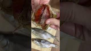Вяленая вобла! Заказать рыбку можно по номеру +79897909936