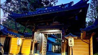 Discover Japan's Ancient Spiritual City.1200Years of History&Traditional Buddhist Cuisine Experience