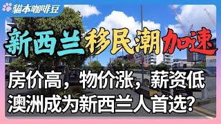 移民澳洲还是留在新西兰？新西兰迎来前所未有的移民潮 | 从薪资到医疗，政策、经济和生活质量的全面对比 | 澳洲与新西兰移民生活深度分享 | 奥克兰 | 猫本咖啡豆