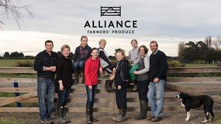 Alliance Group: Who Are We? | Pure South UK