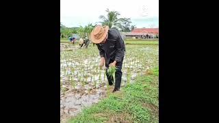 KANG DEDI MULYADI | GUBERNUR TERPILIH TAK BISA MELUPAKAN KEBIASAAN NANDUR ISTIMEWA#gubernurjawabarat