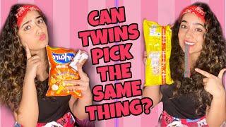 REAL TWIN TELEPATHY TEST | Chinki Minki