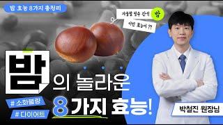 [밤효능] 얼마나 좋길래 천연영양제? 밤에 몰랐던 효능이 이렇게 가득합니다.